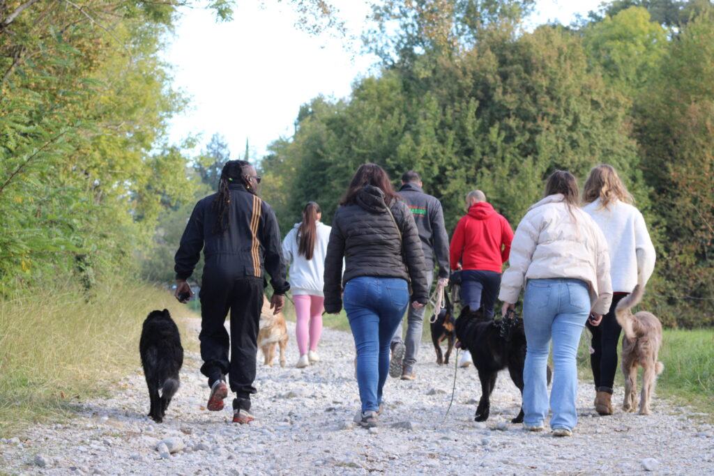 Cours collectifs qui se passent toujours bien